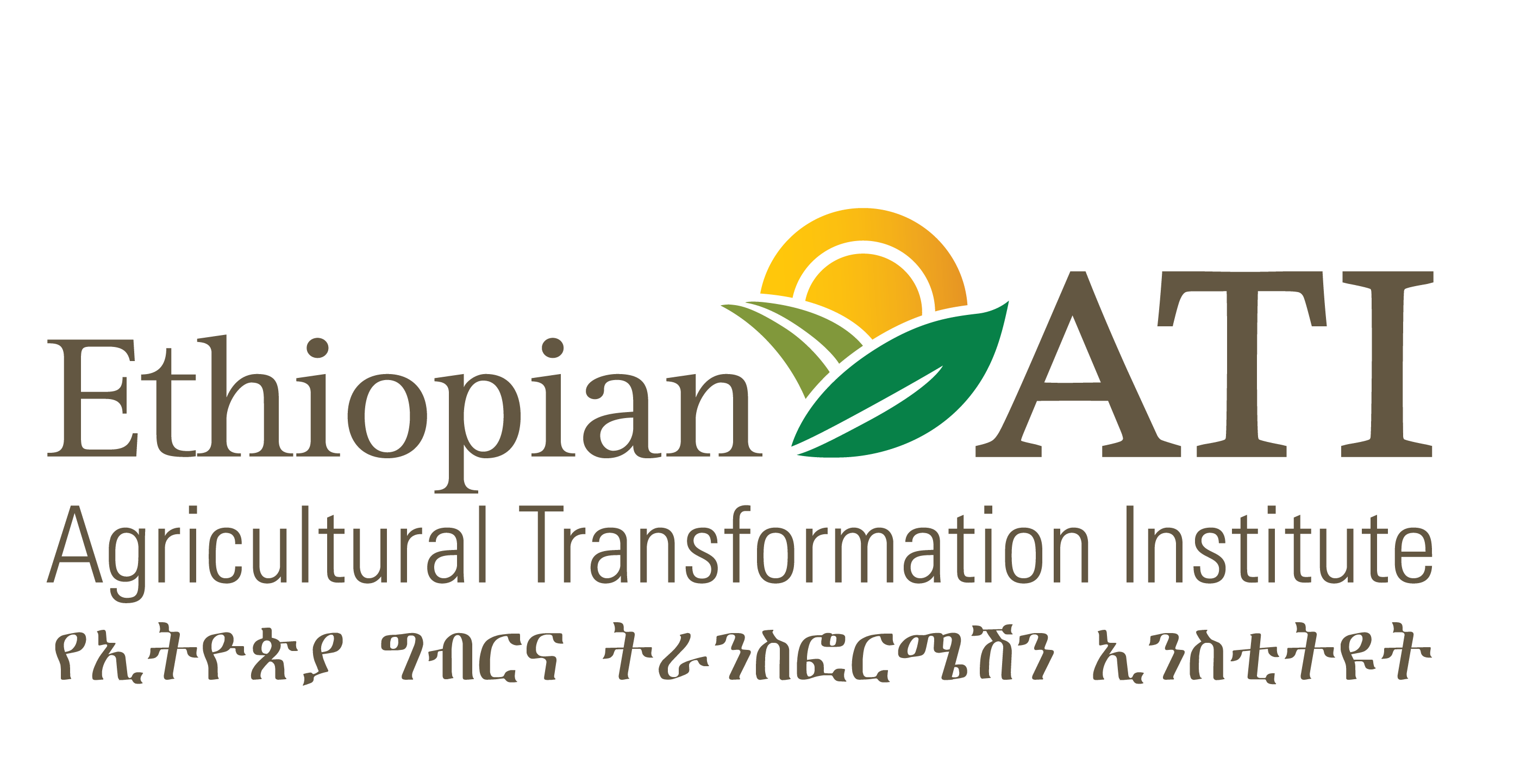 Agricultural Transformation Institute